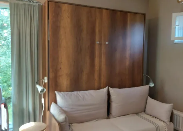 Pioni * بيتار ساري