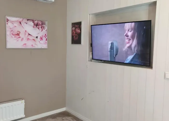 Pioni بيتار ساري