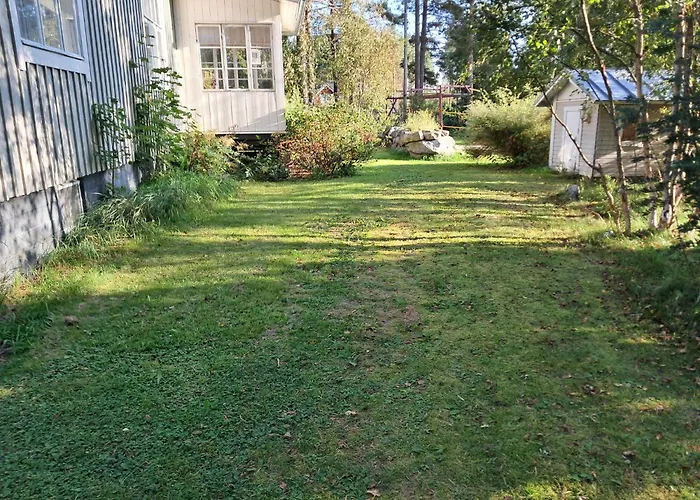 Pioni * بيتار ساري