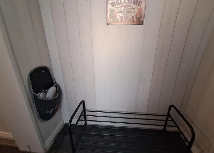 Pioni بيتار ساري