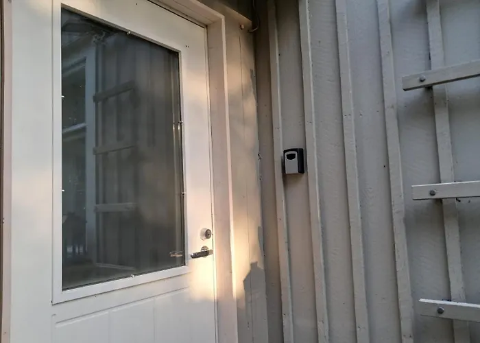 Pioni بيتار ساري